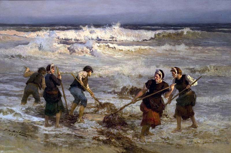 The Seaweed Gatherers